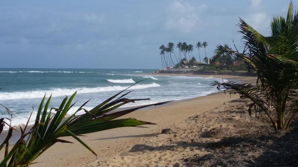 Flat Muro Alto Beach Class Ecolife Porto de Galinhas Exterior foto